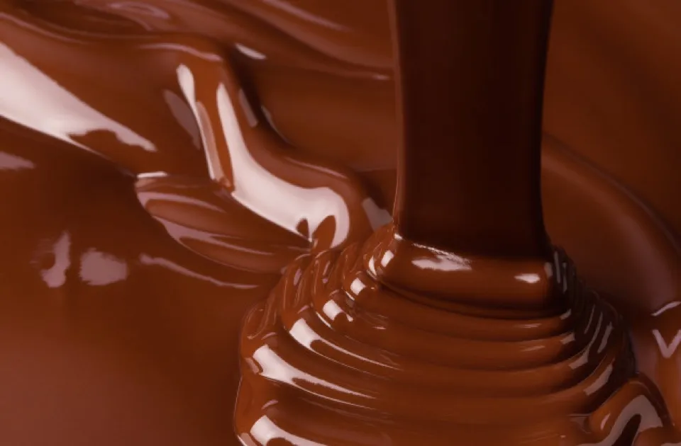 ช็อกโกแลตพราลีนและทรัฟเฟิลแท้จากเบลเยี่ยม Cozxy Belgian Chocolate ของขวัญพรีเมี่ยม