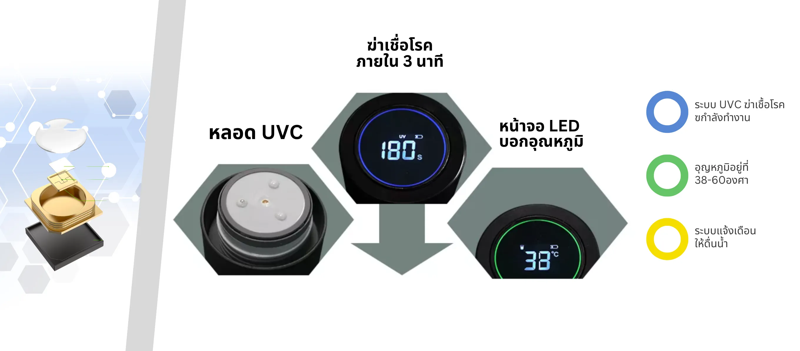 กระติกน้ำ UV-C Cozxy ฆ่าเชื้อโรคได้ 99.99% ของขวัญพรีเมี่ยมเพื่อสุขภาพ
