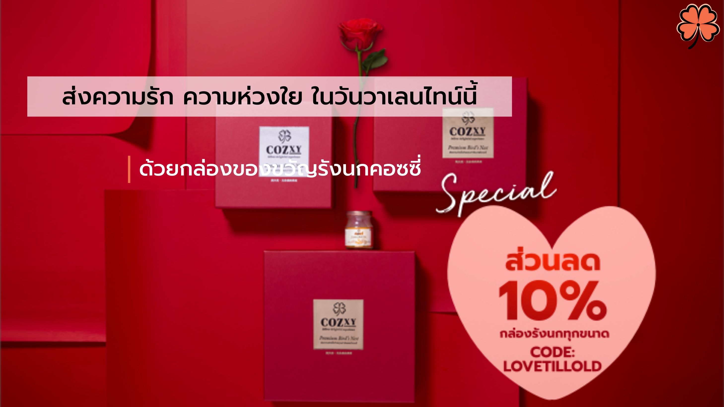 ส่งความรัก ความห่วงใย ในวันวาเลนไทน์นี้  ด้วยกล่องของขวัญคอซซี่ - Cozxy Blog Article