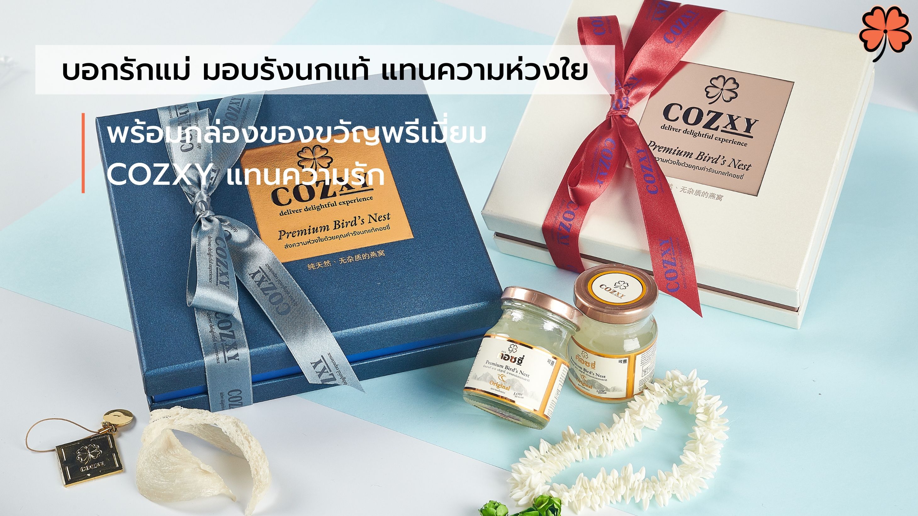 บอกรักแม่ มอบรังนกแท้ แทนความห่วงใย พร้อมกล่องของขวัญพรีเมี่ยม COZXY แทนความรัก - Cozxy Blog Article