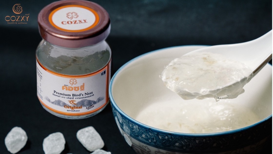 มหัศจรรย์จากธรรมชาติ ด้วยคุณประโยชน์อันทรงคุณค่าจาก รังนก - Cozxy Blog Article