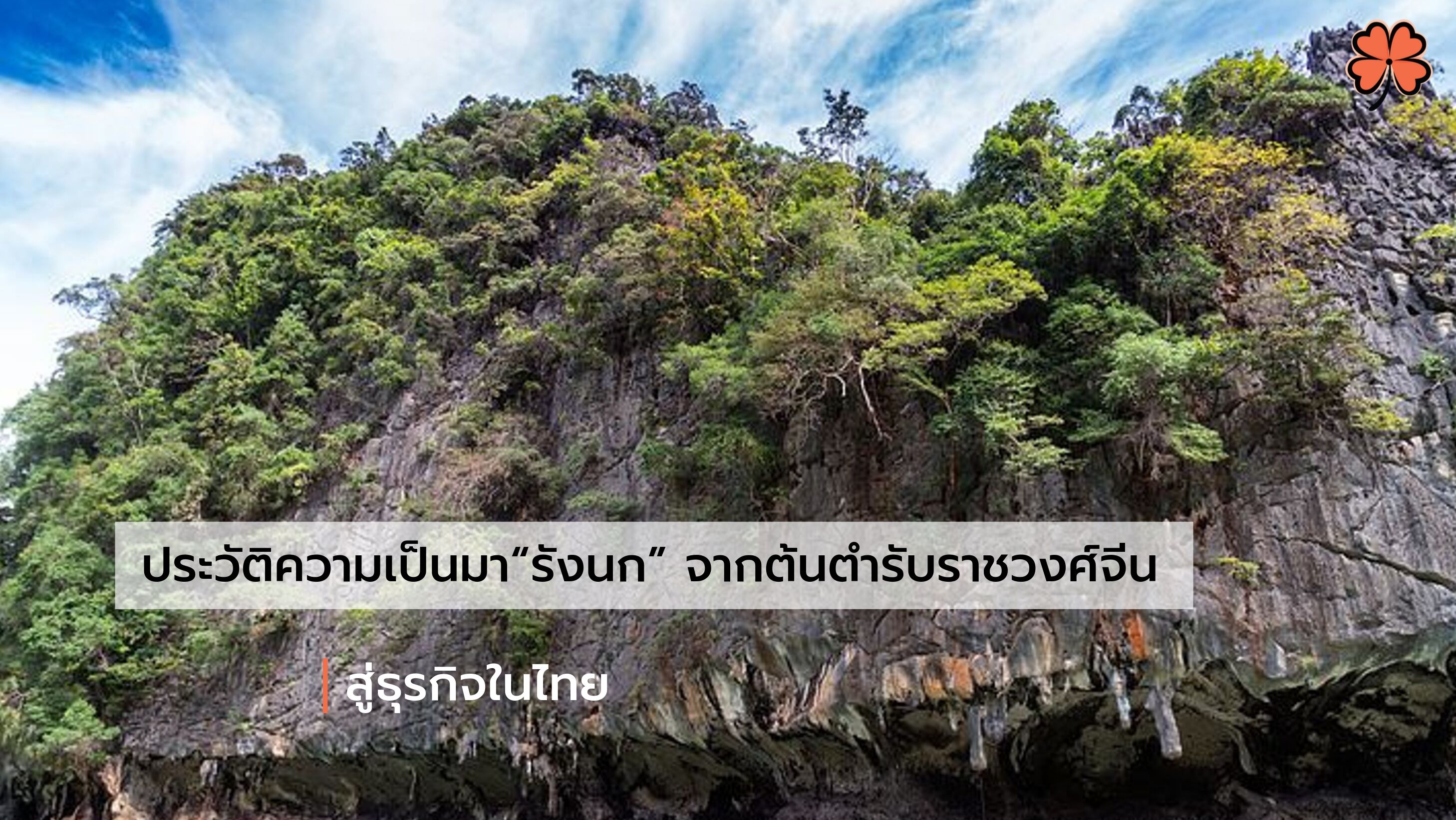 ประวัติความเป็นมา รังนก จากต้นตำรับราชวงศ์จีน สู่ธุรกิจในไทย - Cozxy Blog Article