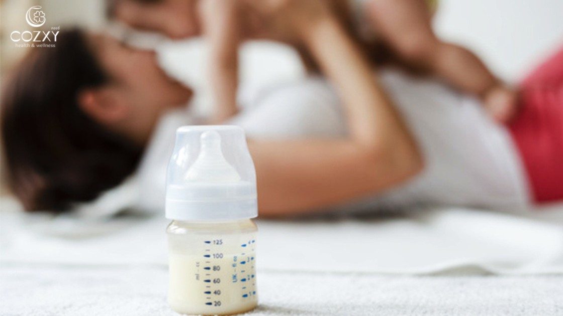 11 เมนูอาหาร ที่มีประโยชน์ ช่วยบำรุง และดีต่อสุขภาพ สำหรับคุณแม่หลังคลอด - Cozxy Blog Article