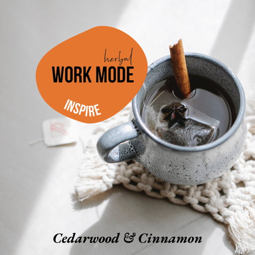 Cedarwood & Cinnamon เทียนหอมขนาด 240g - COZXY Product Image