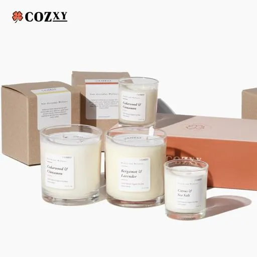 Cedarwood & Cinnamon เทียนหอมขนาด 240g - COZXY Product Image