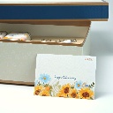 Hydration Essentials เซ็ตเพื่อร่างกายที่สดชื่น - COZXY Thumbnail