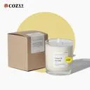 Citrus & Sea Salt เทียนหอมขนาด 240g