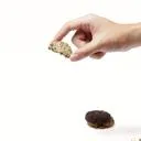 Classic Cookie Bites Jar กระปุกคุกกี้ธัญพืช 90g - Cozxy | Health Thumbnail